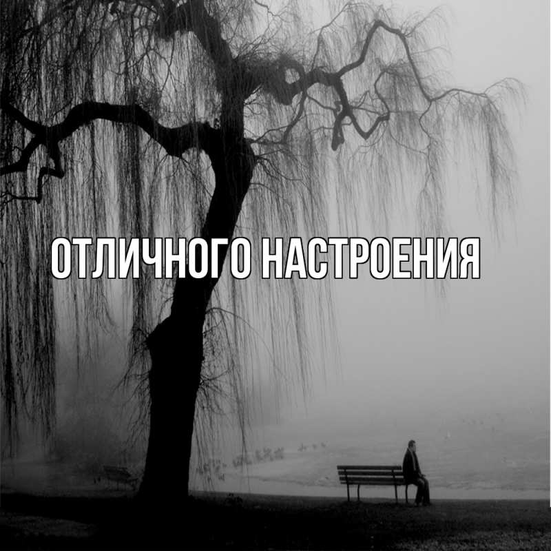 Картинка Скучашки, Песподобная