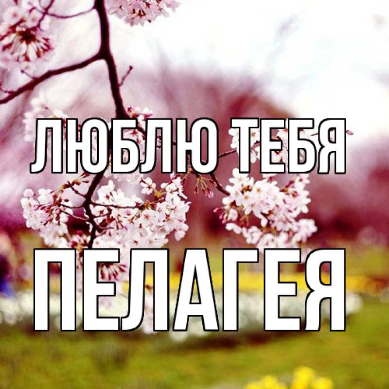 Картинка Люблю тебя, Пелагея