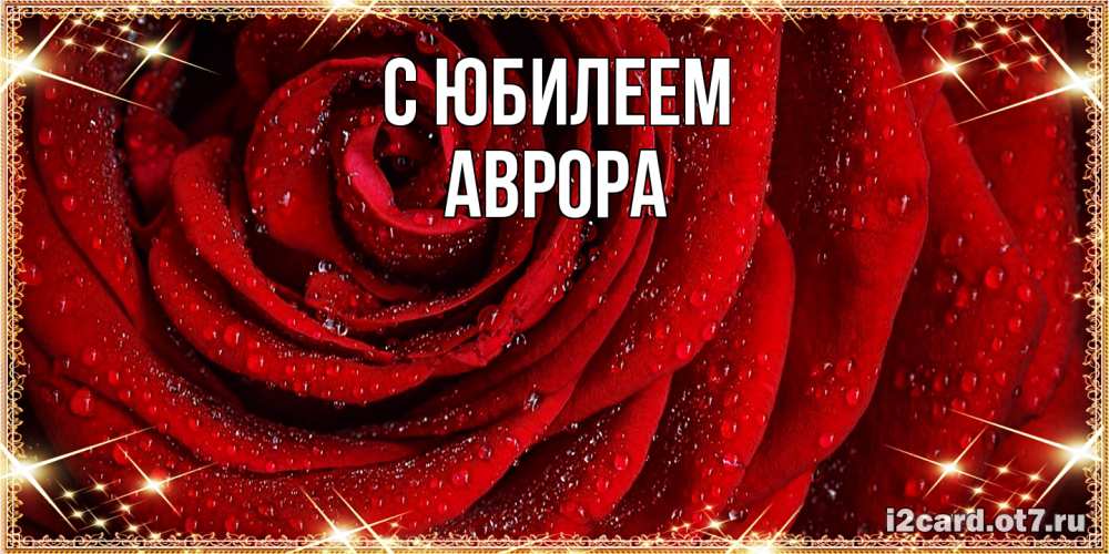 Открытка на каждый день с именем, Аврора C юбилеем роса на розе блестящая в лучах солнца Прикольная открытка с пожеланием онлайн скачать бесплатно 