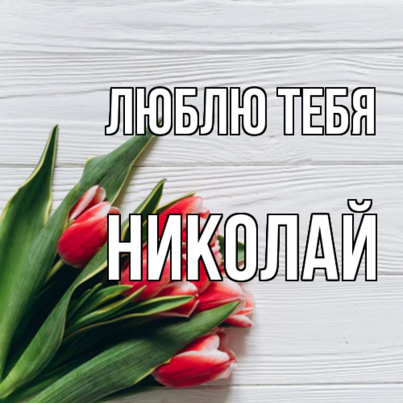 Картинка Люблю тебя, Николай