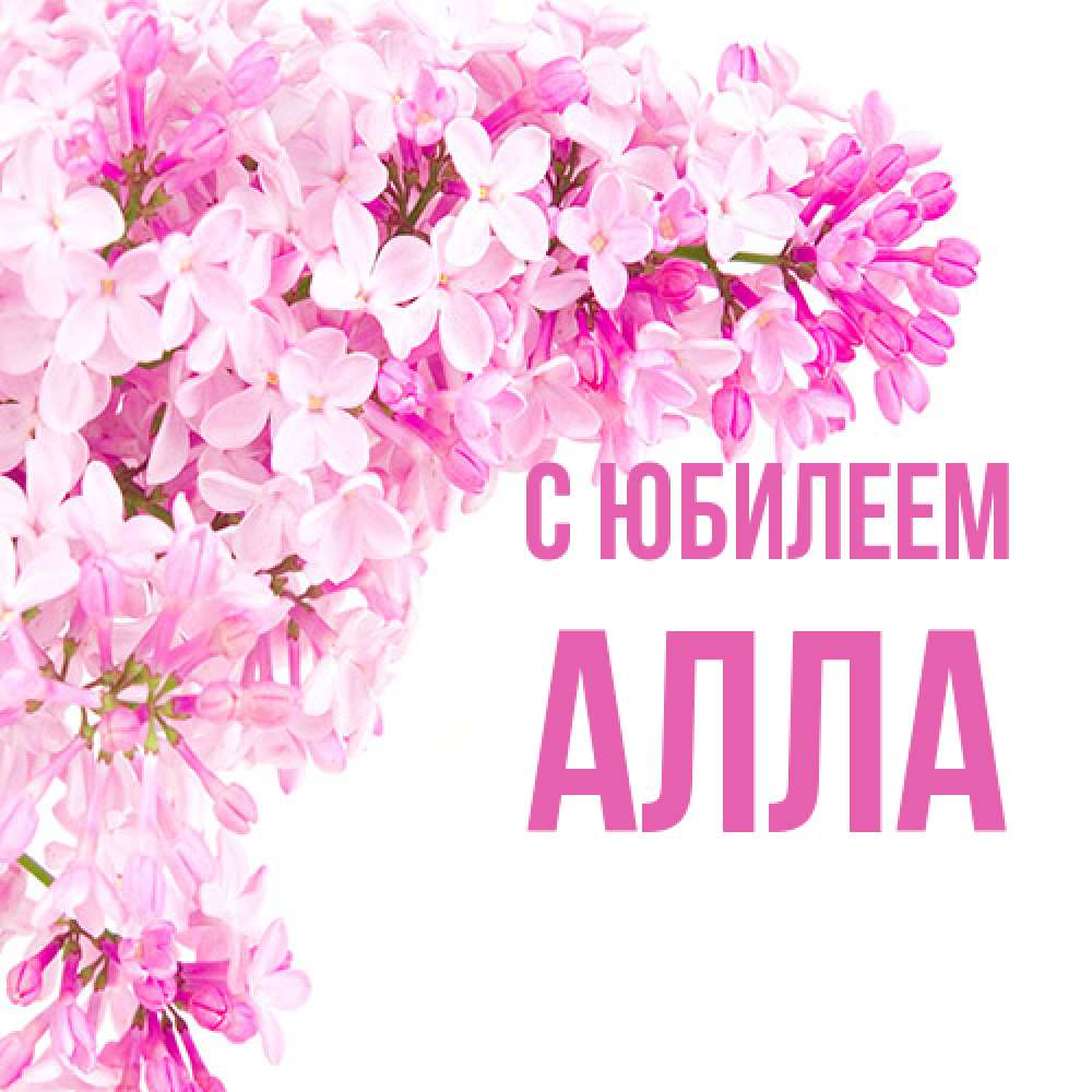 Открытка на каждый день с именем, Алла C юбилеем Сирень на белом фоне Прикольная открытка с пожеланием онлайн скачать бесплатно 