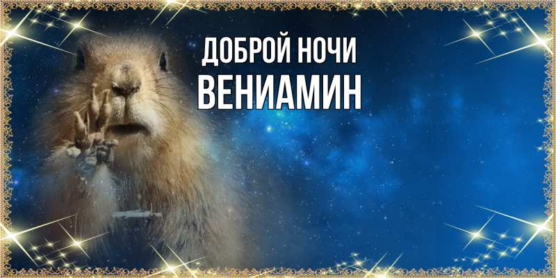 Картинка Доброй ночи, Вениамин