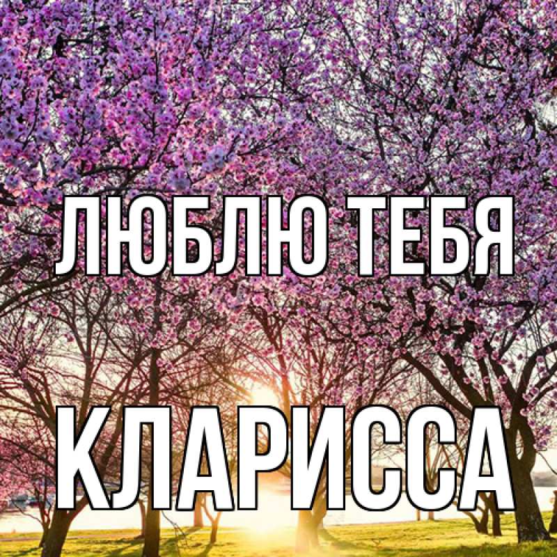 Картинка Люблю тебя, Кларисса