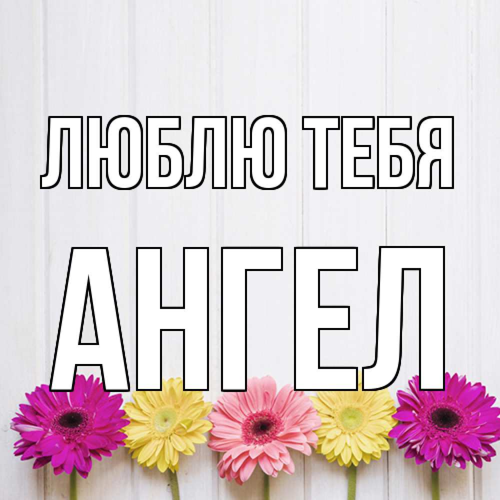 Открытка на каждый день с именем, Ангел Люблю тебя женщинам 1 Прикольная открытка с пожеланием онлайн скачать бесплатно 