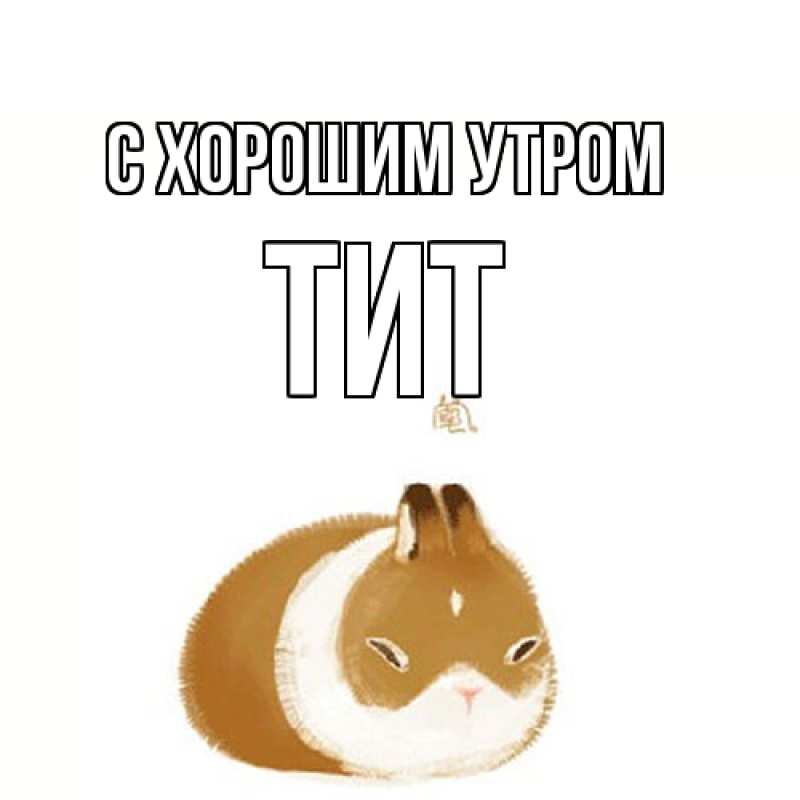 Картинка С хорошим утром, Тит