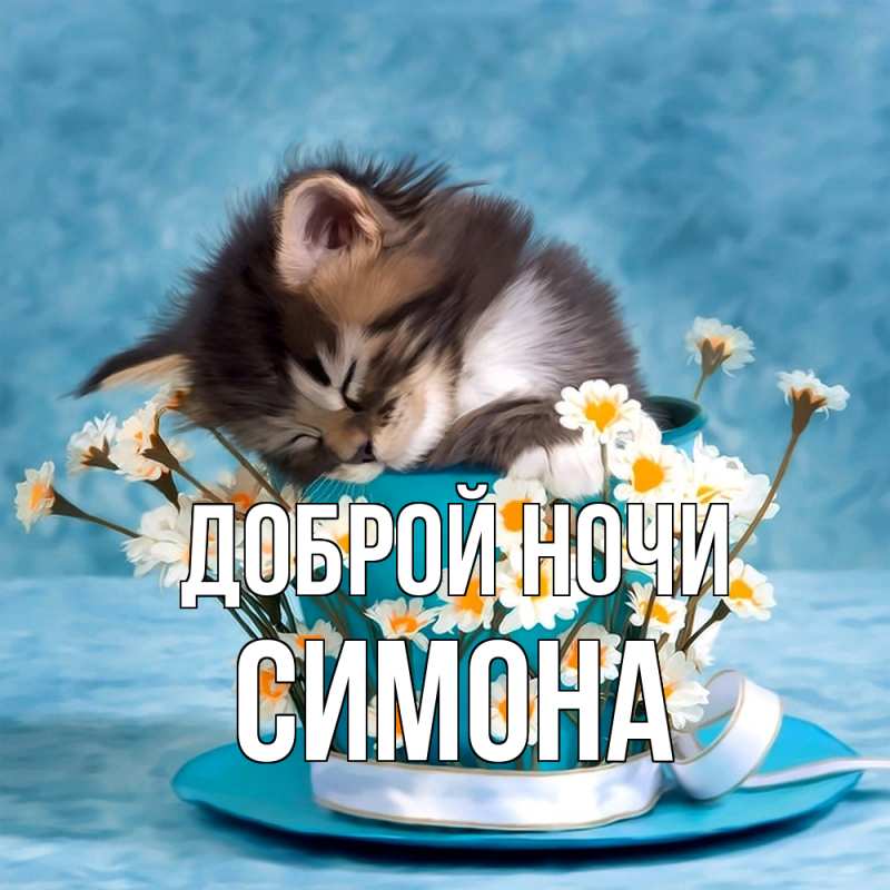 Картинка Доброй ночи, Симона