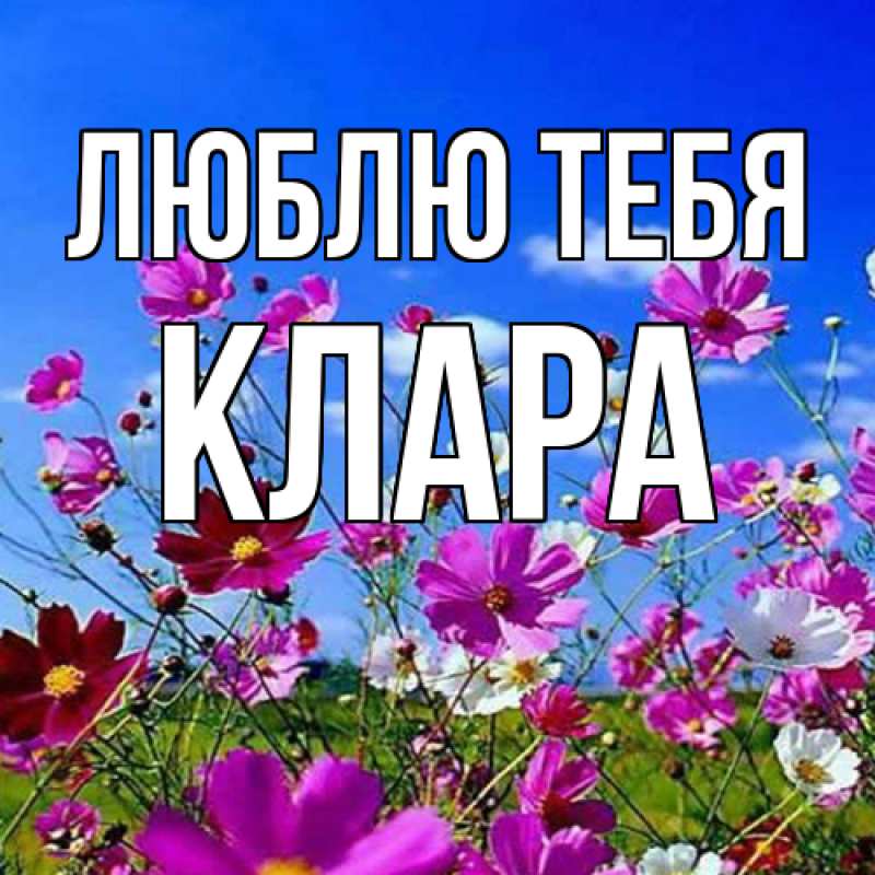 Картинка Люблю тебя, Клара