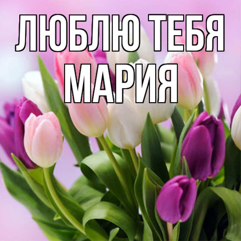 Картинка Люблю тебя, Мария