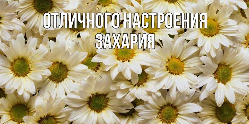 Открытка с именем, Захария, Отличного настроения