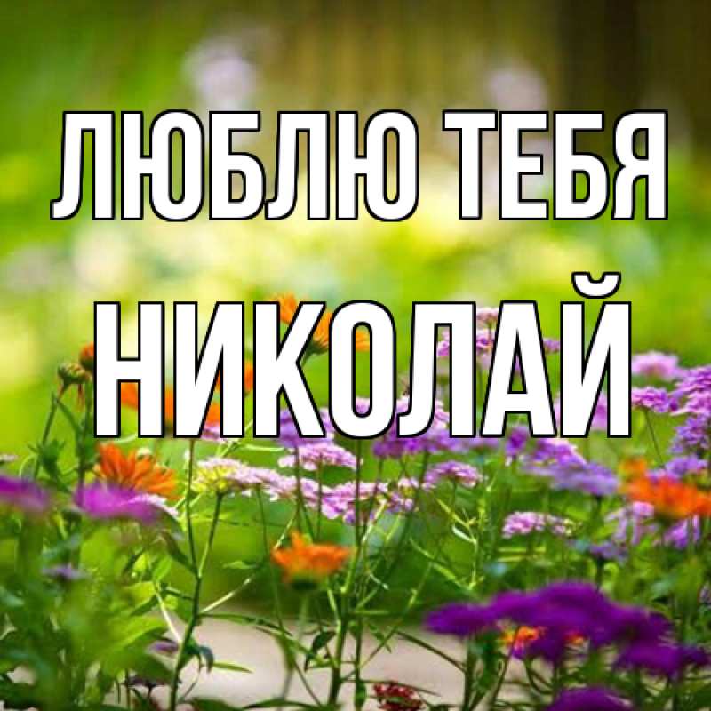 Картинка Люблю тебя, Николай