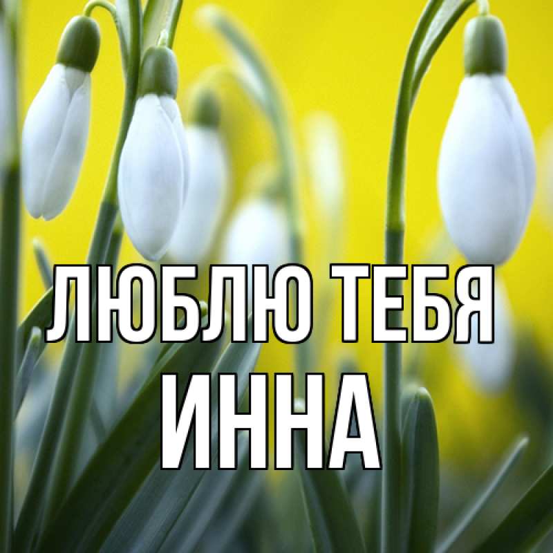 Картинка Люблю тебя, Инна