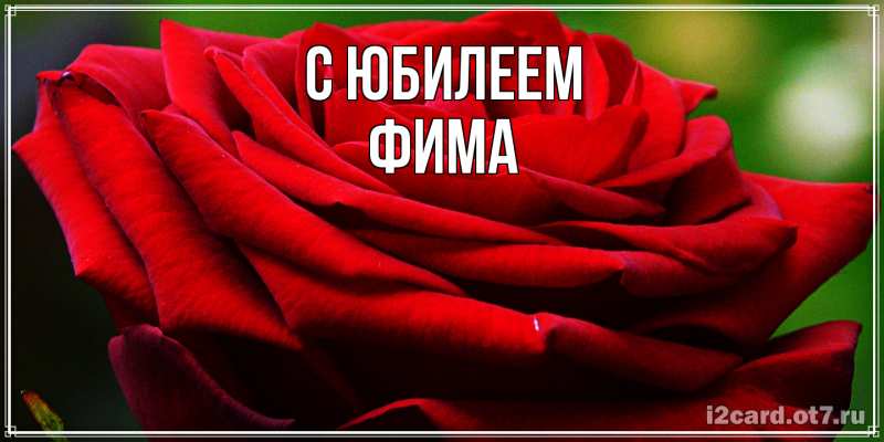Картинка C юбилеем, Фима