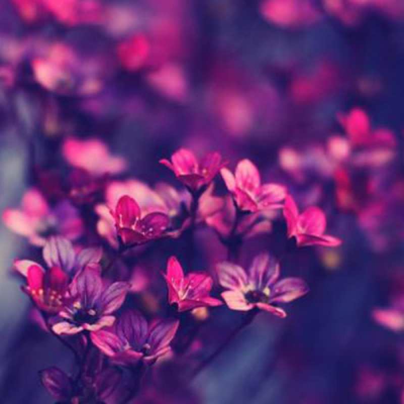 Картинка Люблю тебя, Коля