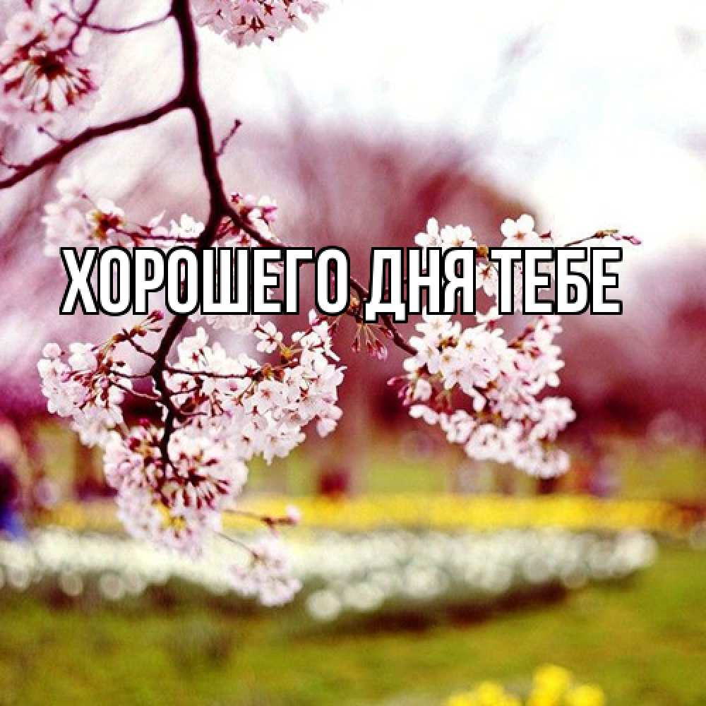 Открытка на каждый день с именем, Родной Люблю тебя яблоня Прикольная открытка с пожеланием онлайн скачать бесплатно 