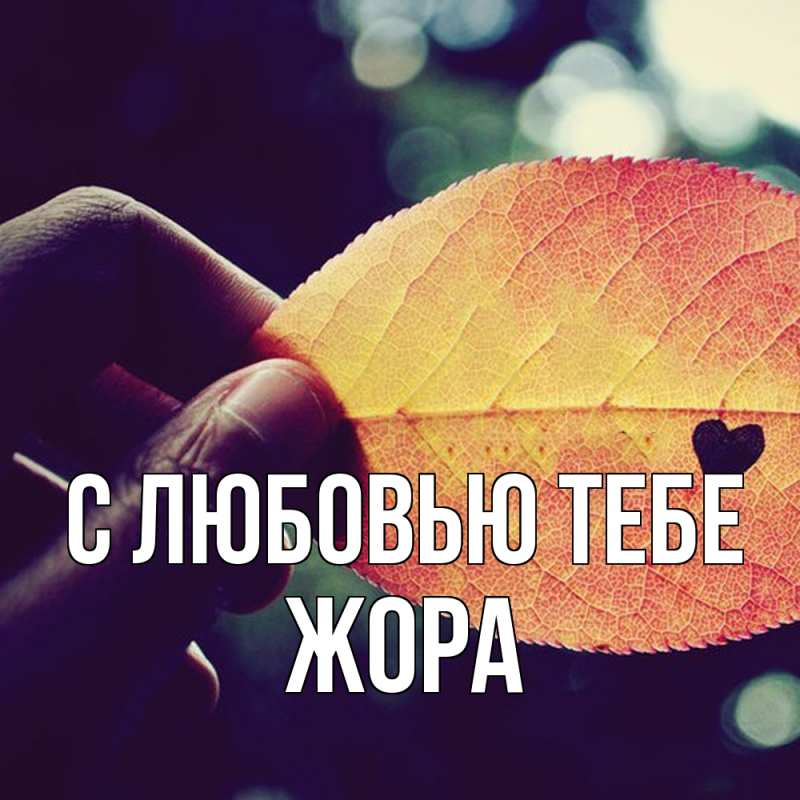 Картинка С любовью тебе, Жора