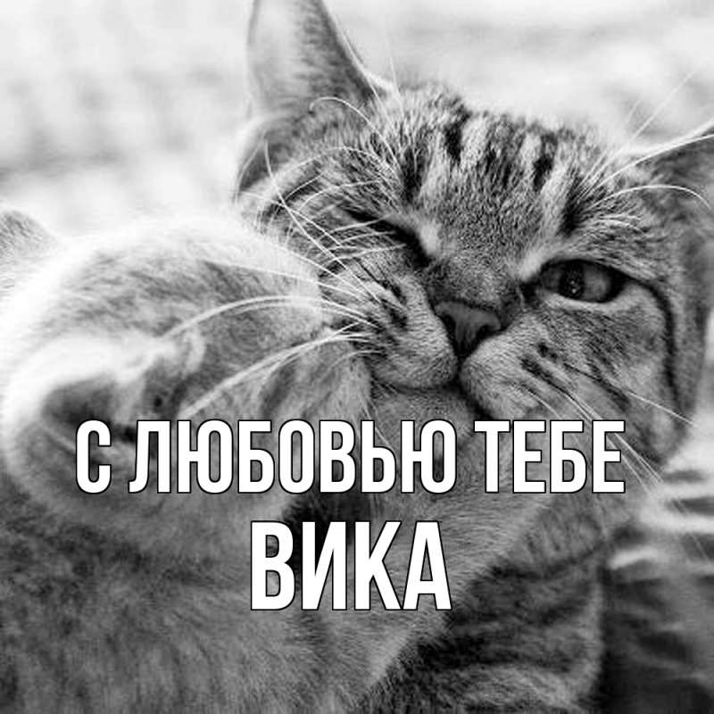 Открытка с именем, Вика, С любовью тебе