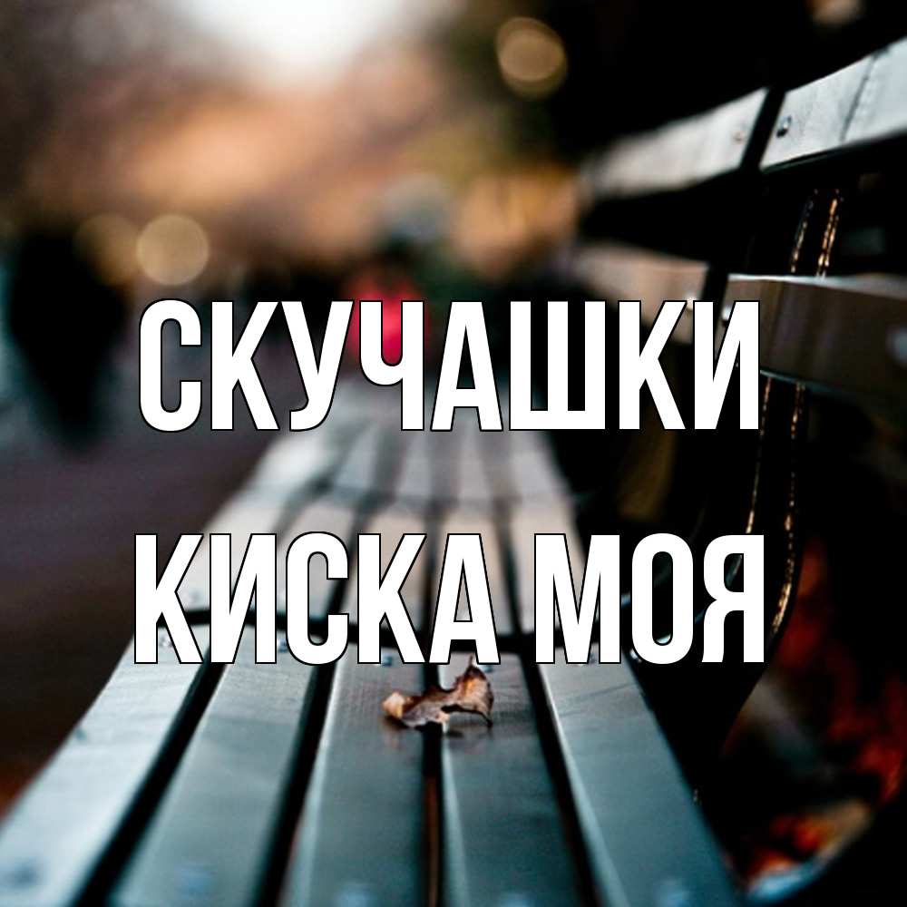 Открытка на каждый день с именем, Киска-моя Скучашки приходи скорее Прикольная открытка с пожеланием онлайн скачать бесплатно 