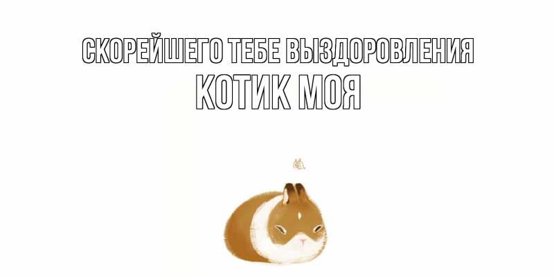 Картинка Скорейшего тебе выздоровления, Котик моя