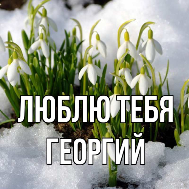 Картинка Люблю тебя, Георгий