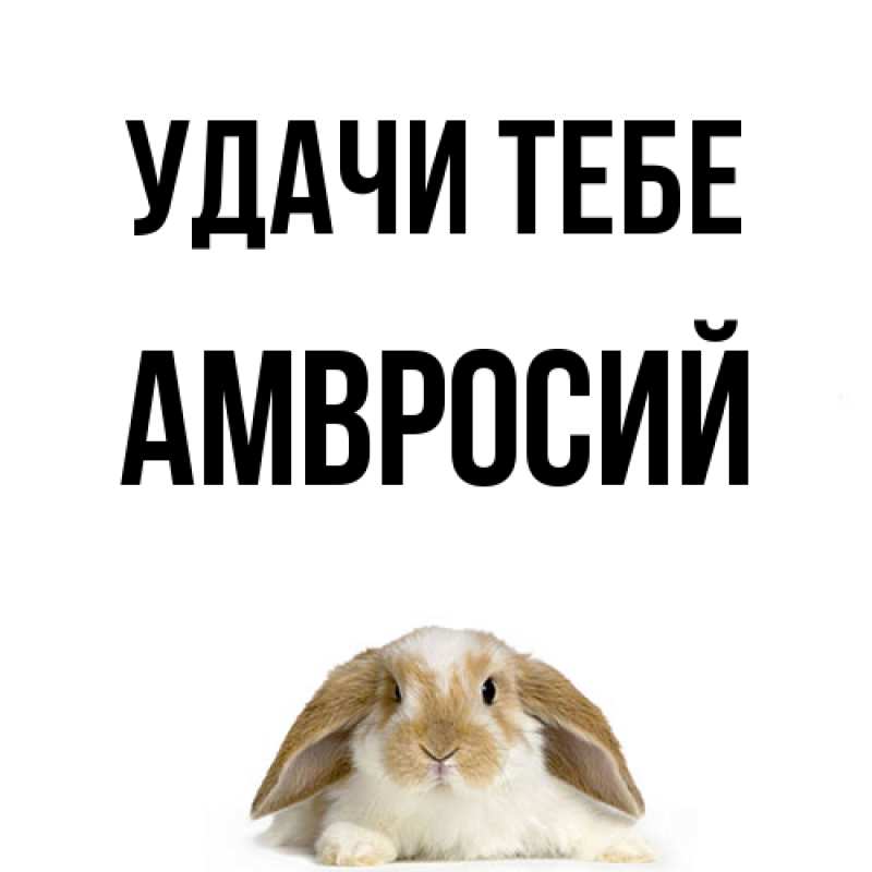 Открытка с именем, Амвросий, Удачи тебе