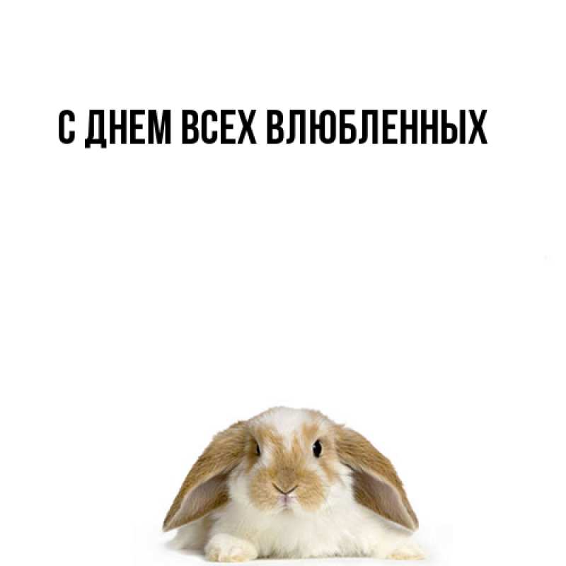 Картинка Я жду тебя, Моя женщина