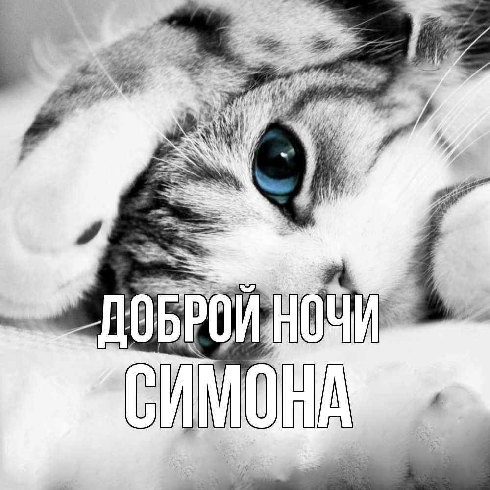 Открытка на каждый день с именем, Симона Доброй ночи кот устал Прикольная открытка с пожеланием онлайн скачать бесплатно 