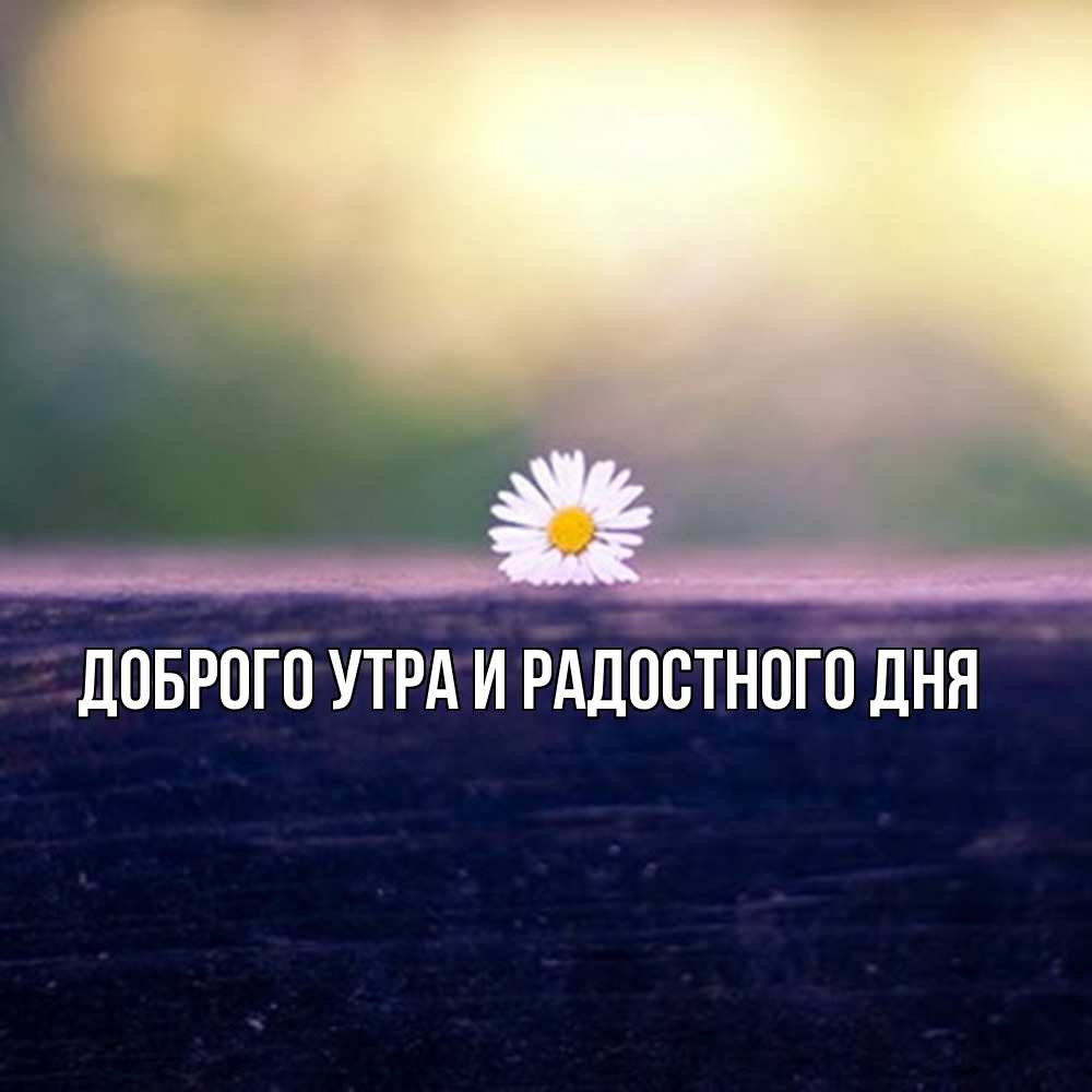 Открытка на каждый день с именем, Ия Не грусти все будет хорошо красота Прикольная открытка с пожеланием онлайн скачать бесплатно 