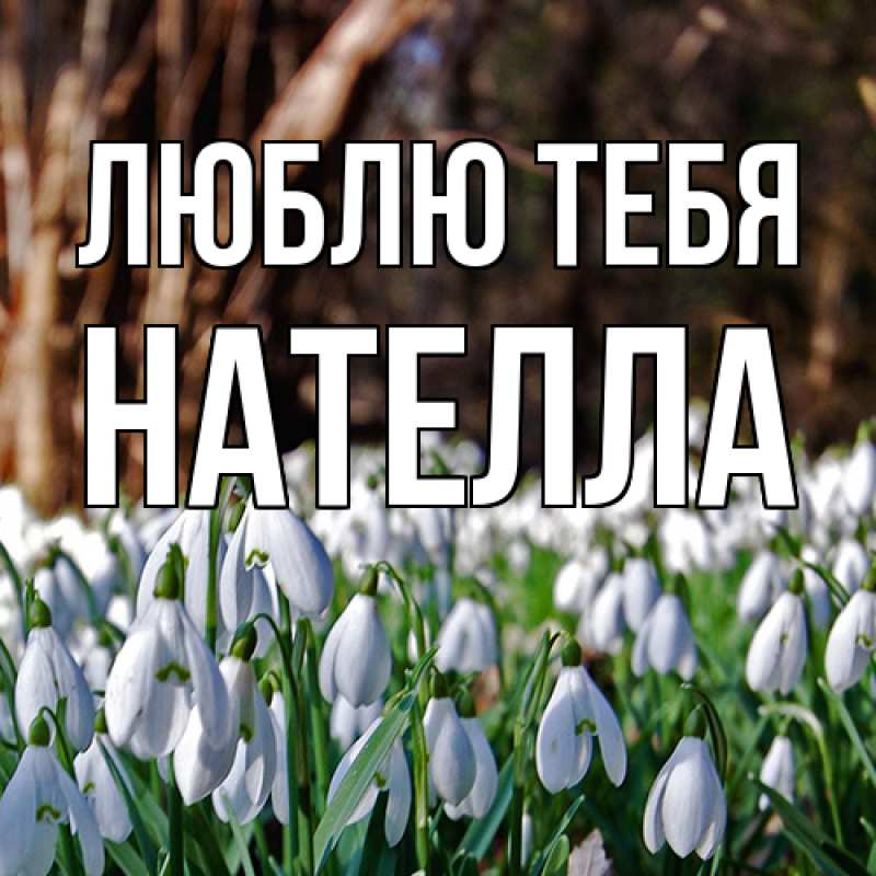 Картинка Люблю тебя, Нателла