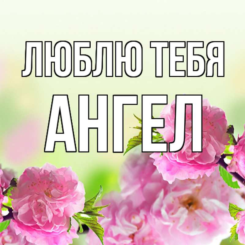 Картинка Люблю тебя, Ангел