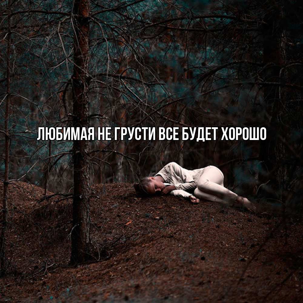 Открытка на каждый день с именем, Любимая Не грусти, все будет хорошо лес Прикольная открытка с пожеланием онлайн скачать бесплатно 