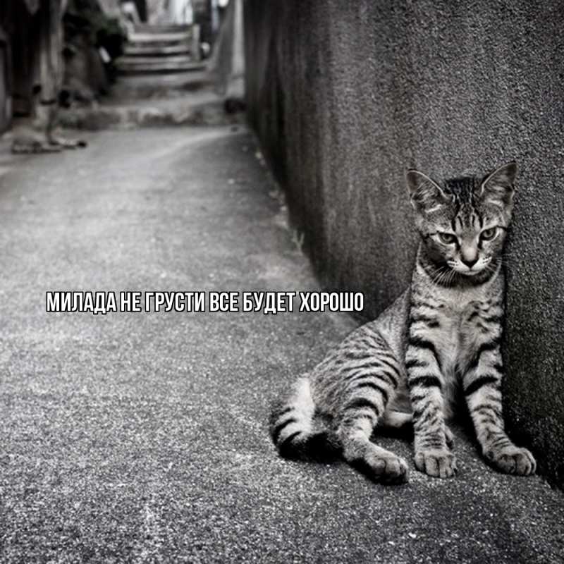 Картинка Не грусти, все будет хорошо, Милада