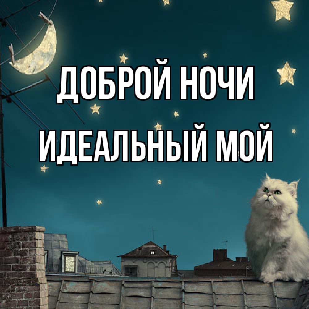 Открытка на каждый день с именем, Идеальный-мой Доброй ночи белый кот сидит на крыше Прикольная открытка с пожеланием онлайн скачать бесплатно 