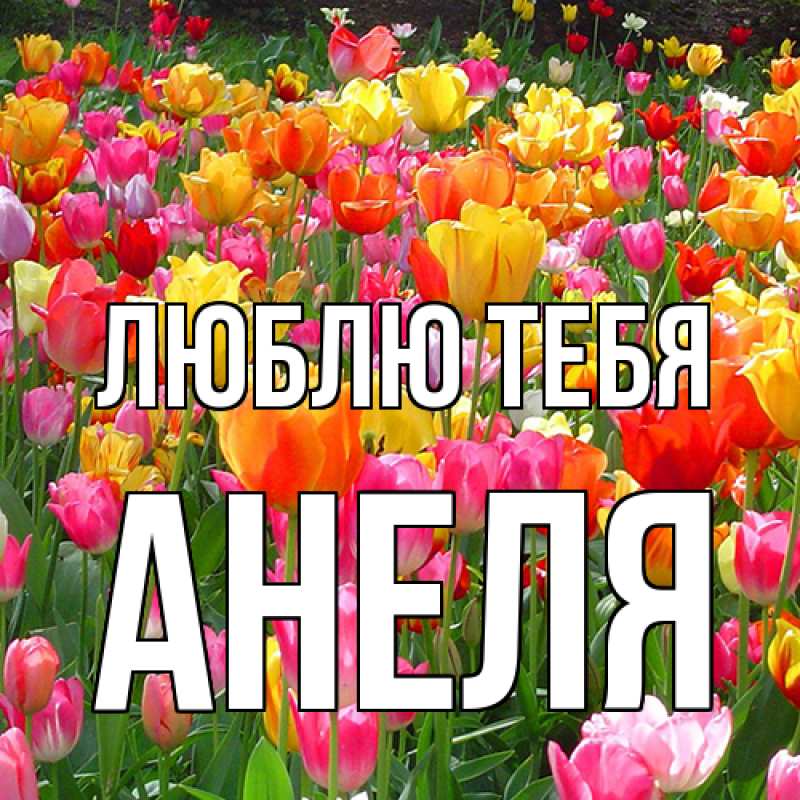 Картинка Люблю тебя, Анеля