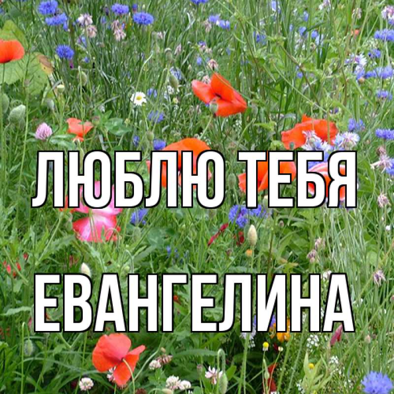 Открытка с именем, Евангелина, Люблю тебя