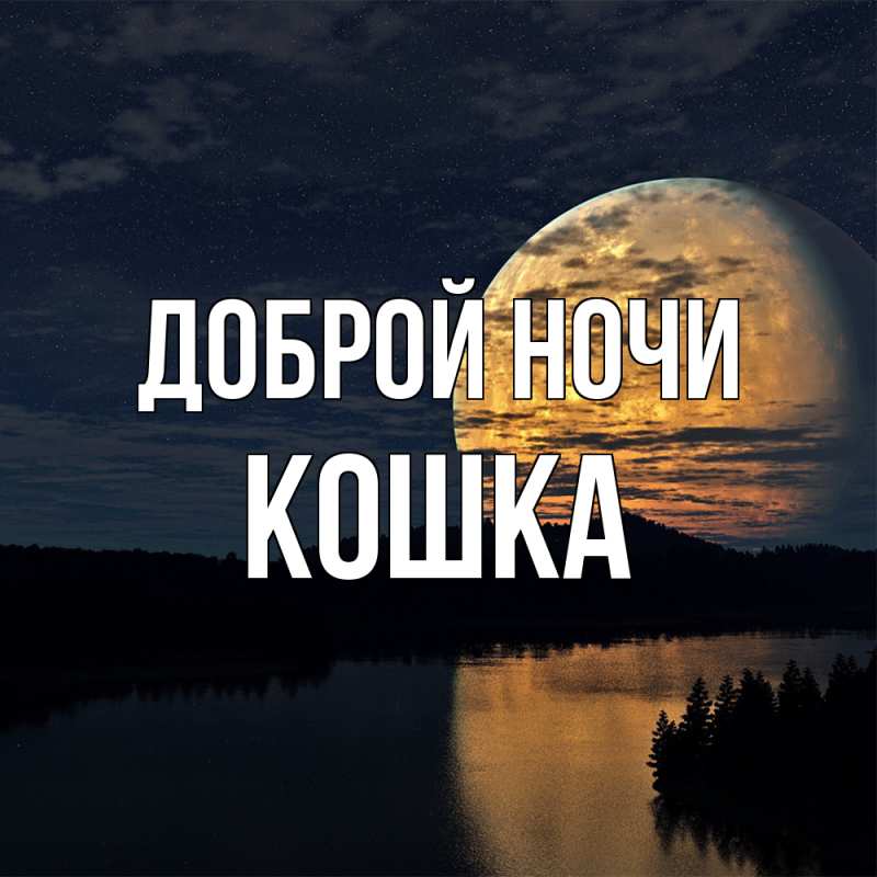 Картинка Доброй ночи, Кошка