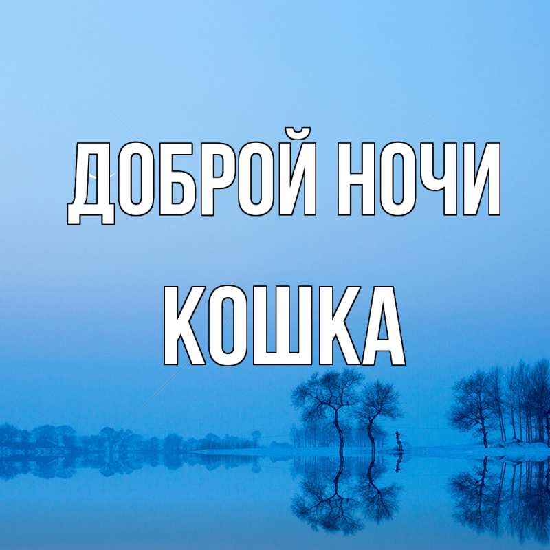 Картинка Доброй ночи, Кошка