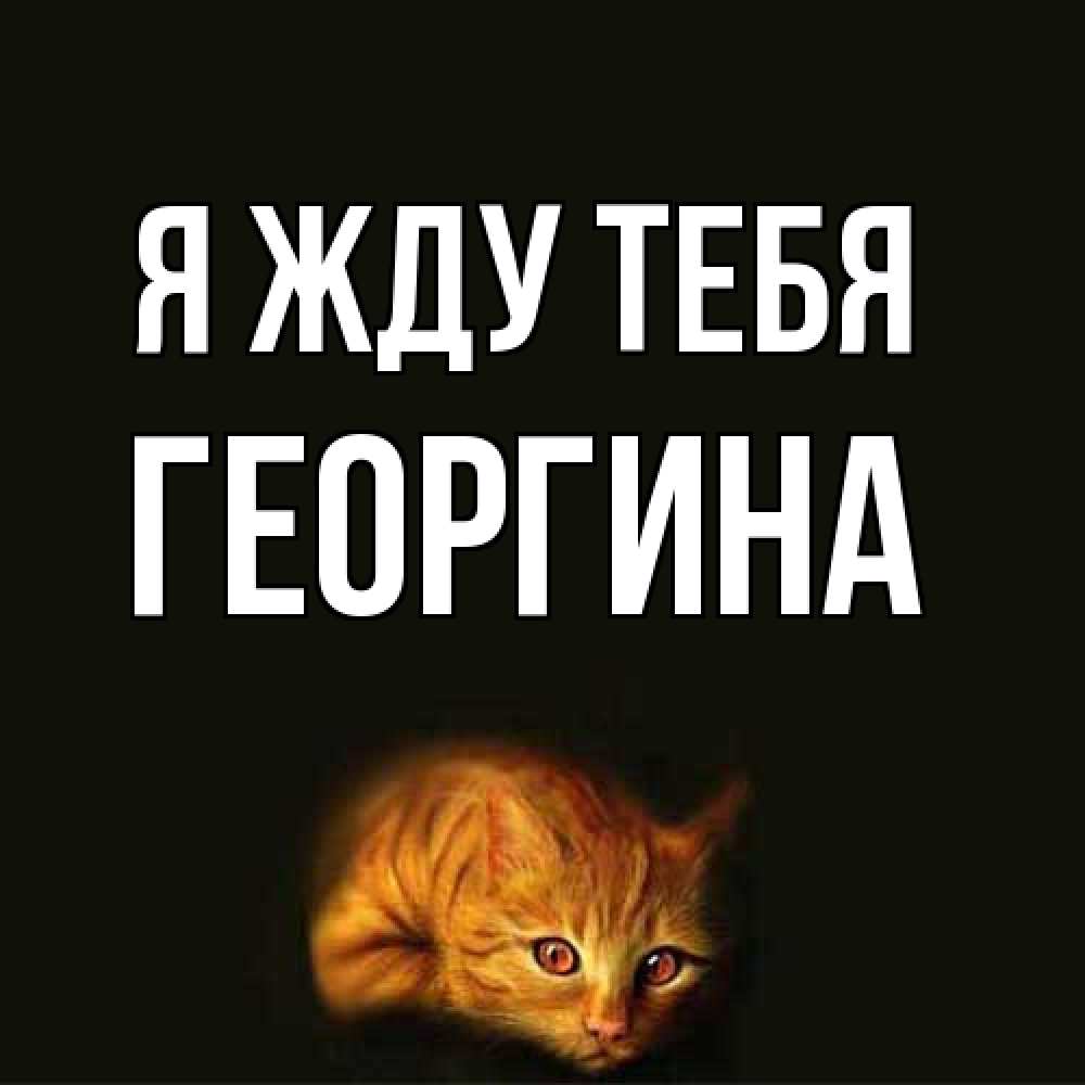 Открытка на каждый день с именем, Георгина Я жду тебя рыжий Прикольная открытка с пожеланием онлайн скачать бесплатно 