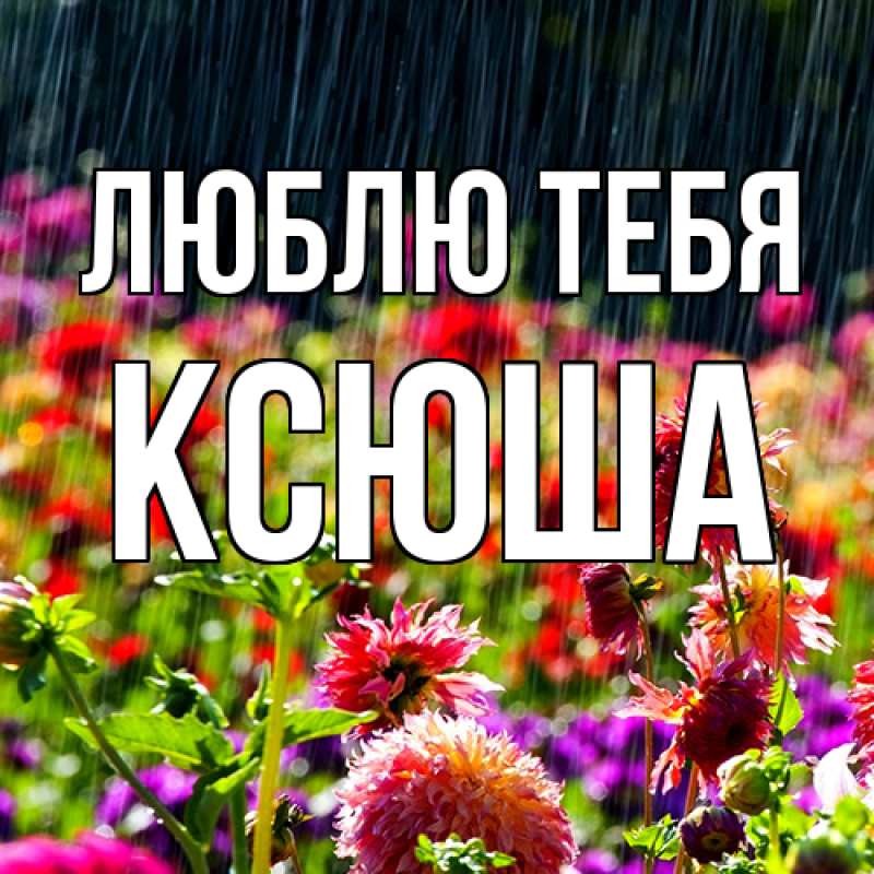 Картинка Люблю тебя, Ксюша