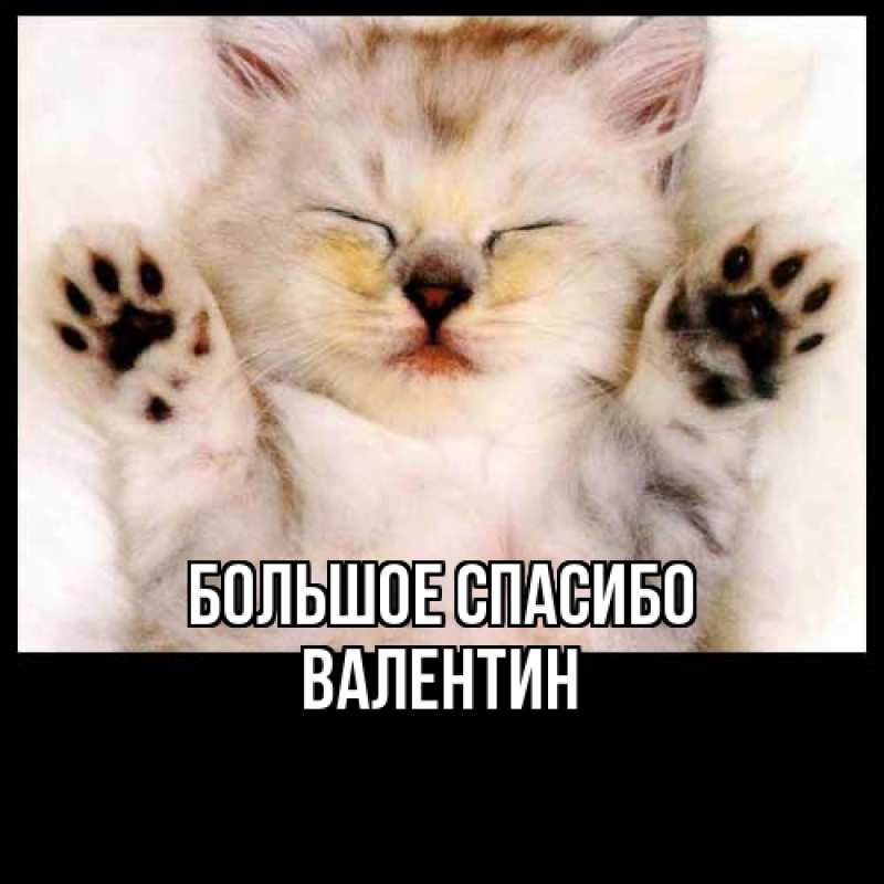Картинка Большое спасибо, Валентин