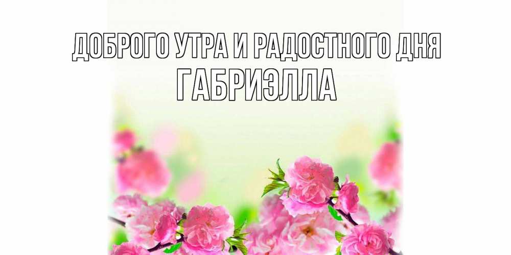 Открытка на каждый день с именем, Габриэлла Доброго утра и радостного дня цветы Прикольная открытка с пожеланием онлайн скачать бесплатно 