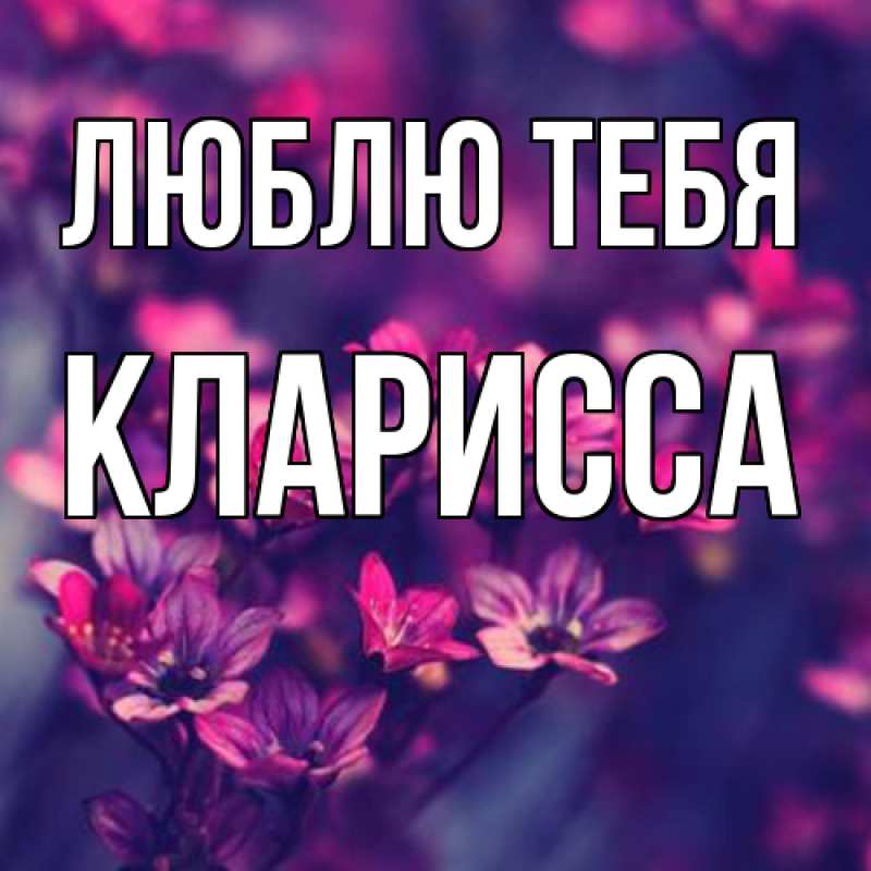 Картинка Люблю тебя, Кларисса
