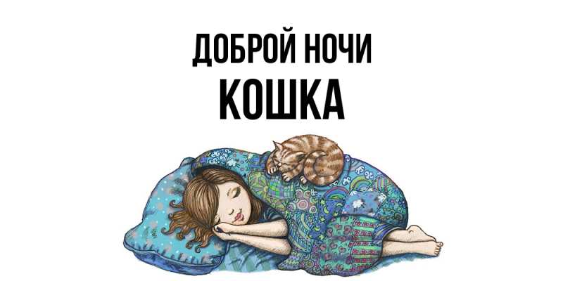 Картинка Доброй ночи, Кошка