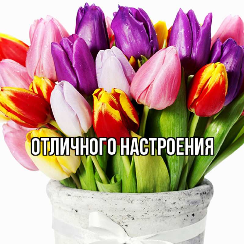 Картинка Люблю тебя, Габриэлла
