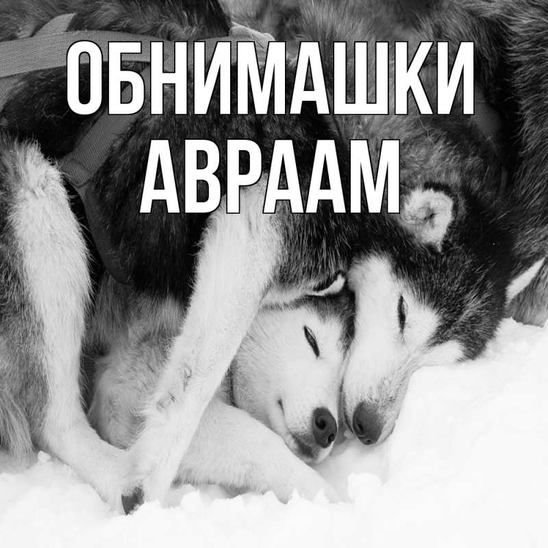 Открытка с именем, Авраам, Обнимашки