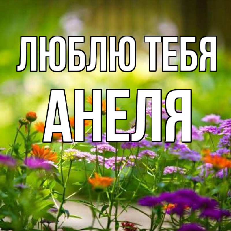 Картинка Люблю тебя, Анеля