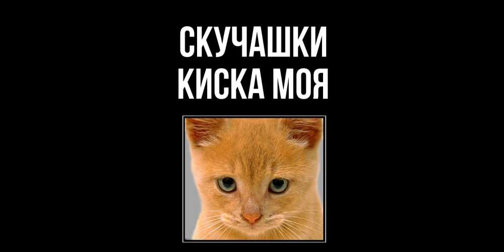 Открытка на каждый день с именем, Киска-моя Скучашки открытки рыжий котенок скучает по тебе Прикольная открытка с пожеланием онлайн скачать бесплатно 