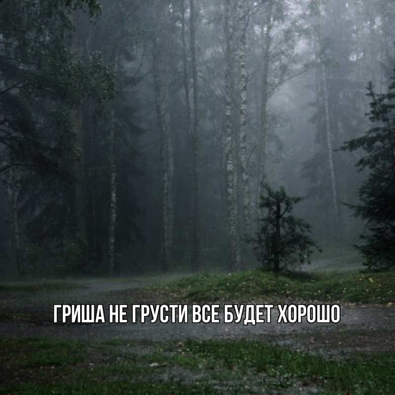 Картинка Не грусти, все будет хорошо, Гриша