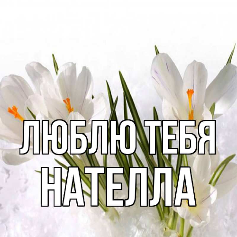 Картинка Люблю тебя, Нателла