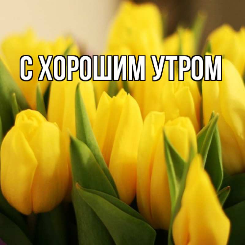 Картинка Люблю тебя, Таня