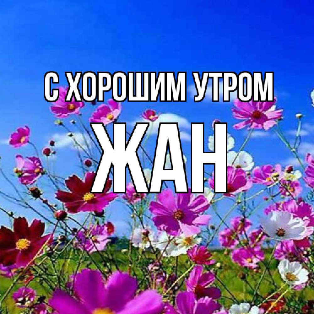 Открытка на каждый день с именем, Жан С хорошим утром сиреневые цветы Прикольная открытка с пожеланием онлайн скачать бесплатно 